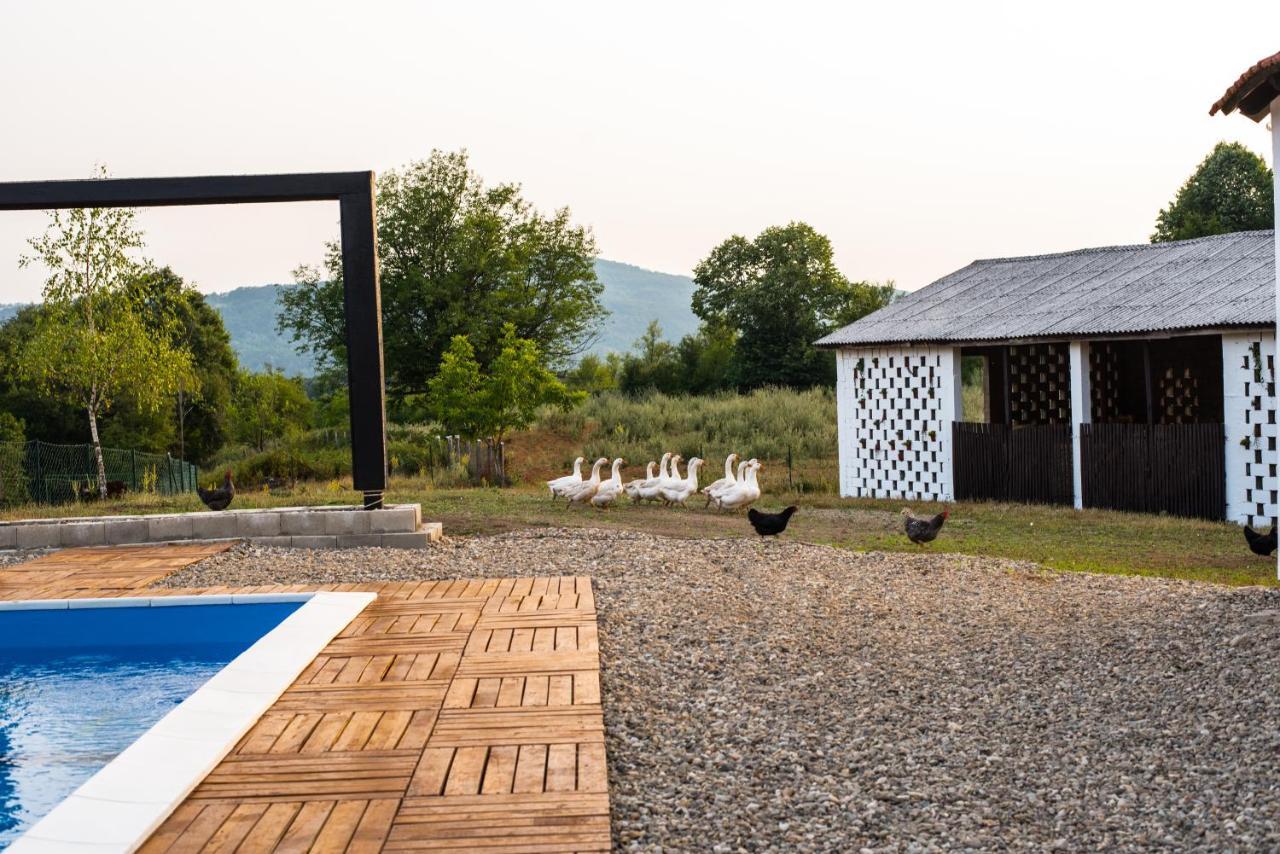 Skriveni Raj Guest House Gornji Milanovac Eksteriør bilde