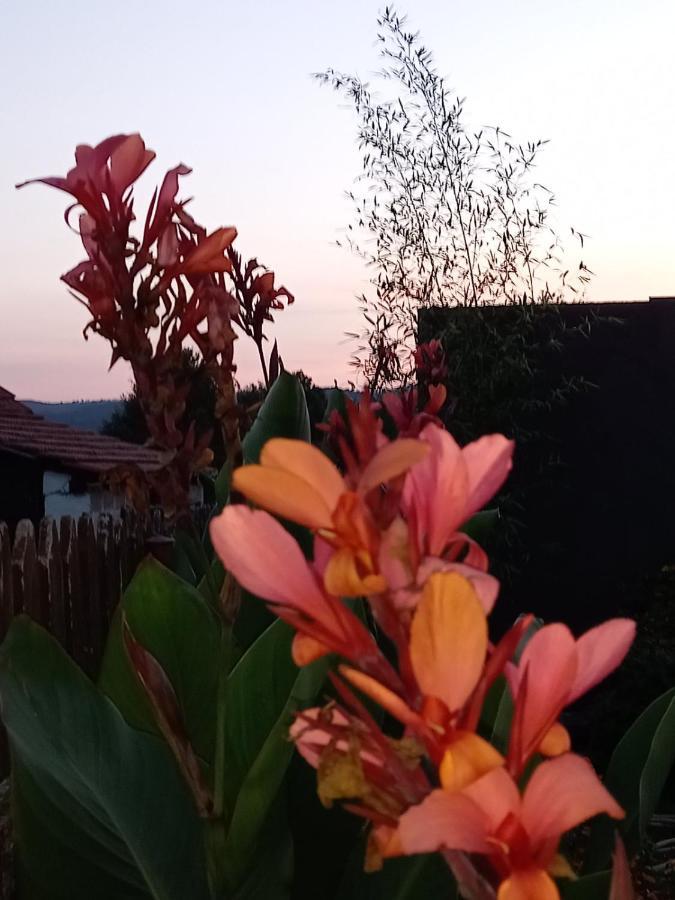 Skriveni Raj Guest House Gornji Milanovac Eksteriør bilde